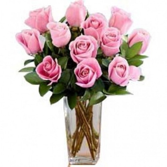 Bunch of 12 Pink Roses i...